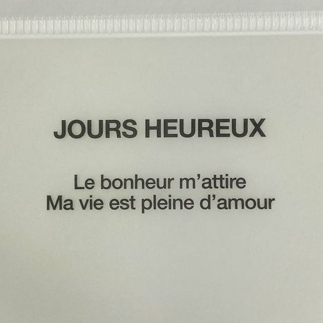 ＬＨ１０フラットケース　ミニ２Ｐの3番目の写真