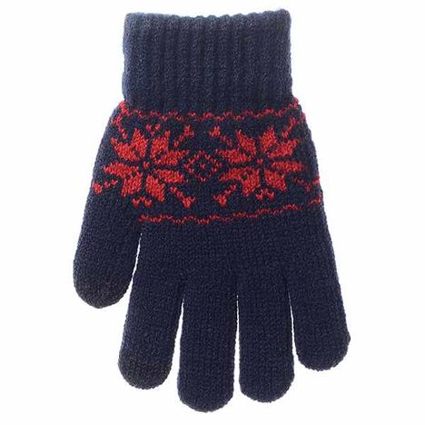 ＫＩＤＳタッチ手袋ノルディックＮＶの3番目の写真