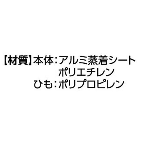 保冷保温ランチバッグ大ブラックの4番目の写真