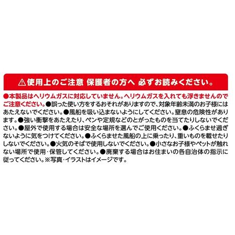 自立式アルミバルーンハウスの5番目の写真