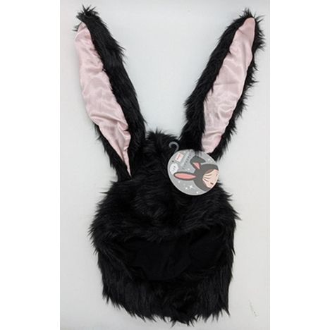 ビッグコスチュームうさぎの商品画像