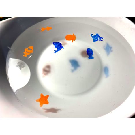 水に絵を浮かせるキット　みずのいきものの3番目の写真