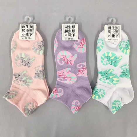 婦人靴下　アンクル丈ゆめかわカメレオンの画像