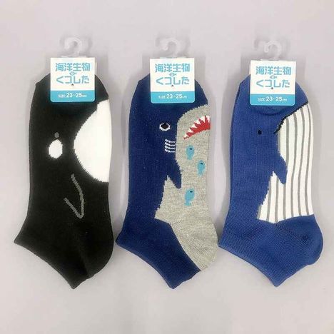 海洋婦人ショート丈　クジラシャチサメの商品画像