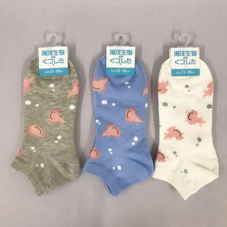 海洋婦人ショート丈　ウーパールーパーの商品画像