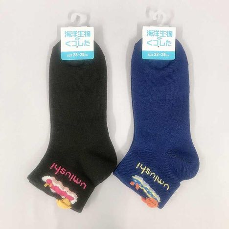 海洋婦人アンクル丈　ウミウシピコの商品画像