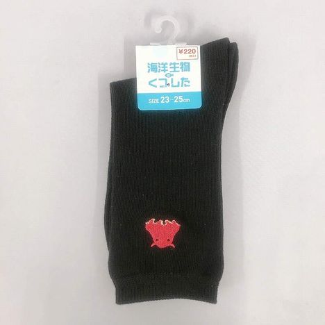海洋婦人クルー丈　メンダコ刺繍の商品画像