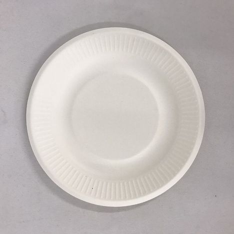 環境に優しいプレート１５．５ＣＭ１２Ｐの2番目の写真