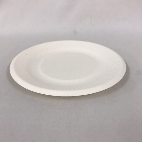 環境に優しいプレート１５．５ＣＭ１２Ｐの3番目の写真