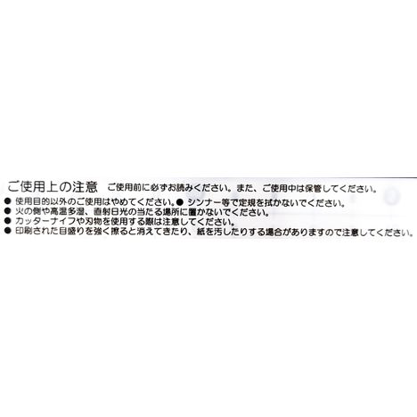 すべらない定規１５ｃｍの5番目の写真