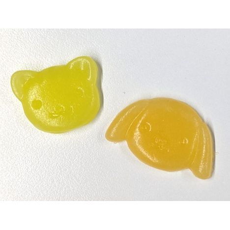 かんてんねんど　どうぶつ橙・黄の4番目の写真