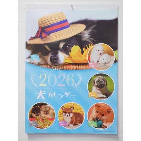 ２６カレンダー　Ａ２縦　犬の商品画像