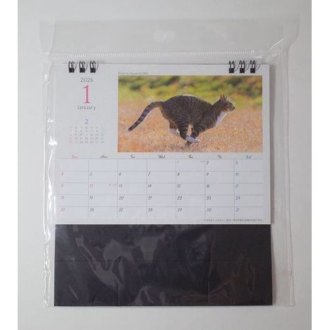 ２６卓上カレンダー　猫（四季）の画像
