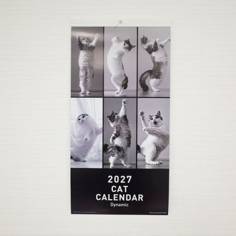 ２０２７　猫カレンダー【ダイナミック】の画像