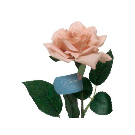 クシュリアアンドレローズ　Ｌの2番目の写真