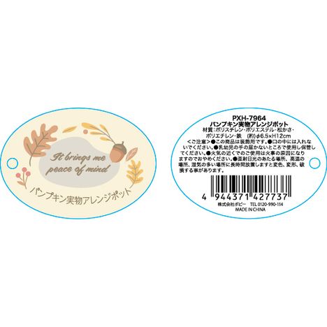 パンプキンミモノアレンジポットの5番目の写真