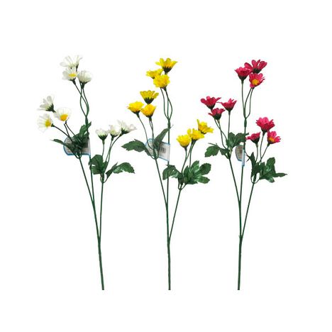 コギクスプレー　Ｌの商品画像