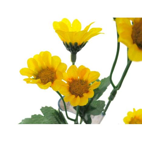 コギクスプレー　Ｌの2番目の写真