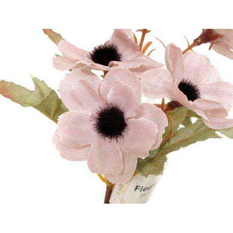 フルーレット　アネモネバンチＳの2番目の写真