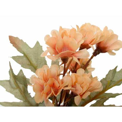 フルーレット　マムバンチＳの2番目の写真