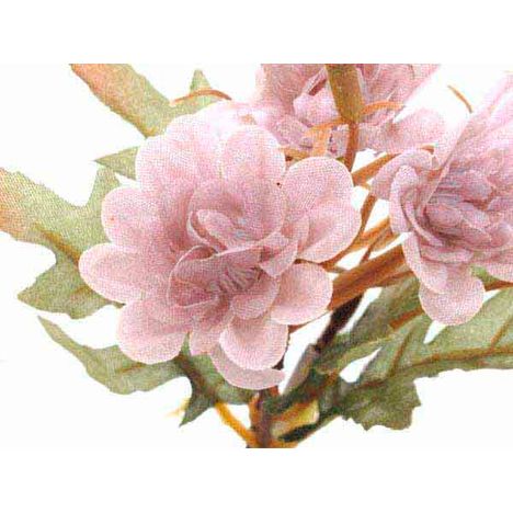 フルーレット　ダリアバンチＳの2番目の写真