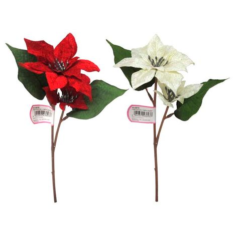 ベルベットショートポインセチア　Ｓの画像