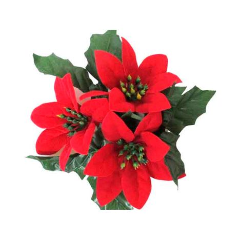 ポインセチアリングの2番目の写真
