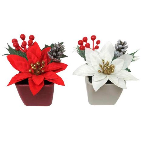 ポインセチアミックスポットの画像