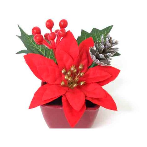 ポインセチアミックスポットの2番目の写真