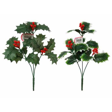 ヒイラギブッシュ　Ｍの画像