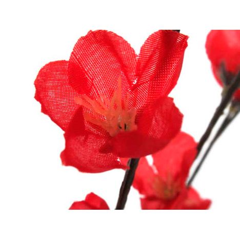 梅（レッド）　Ｌの2番目の写真