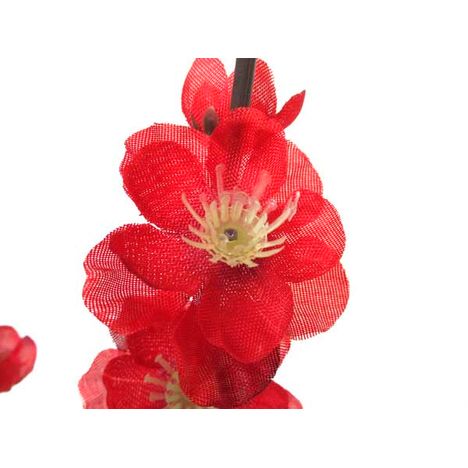 春日梅　Ｌの2番目の写真