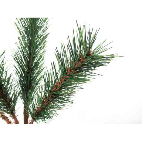 からげ松　Ｌの2番目の写真