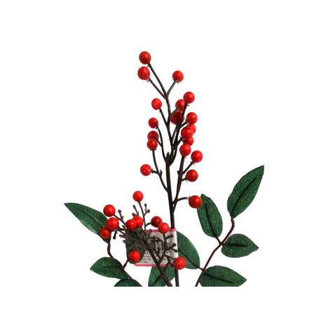 南天　Ｌの2番目の写真