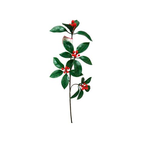 プラ千両　Ｌの商品画像