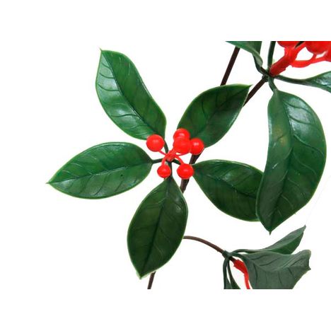 プラ千両　Ｌの2番目の写真