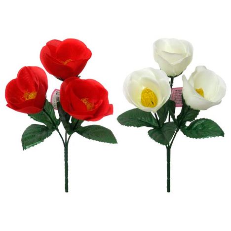 椿ブッシュ　Ｓの商品画像