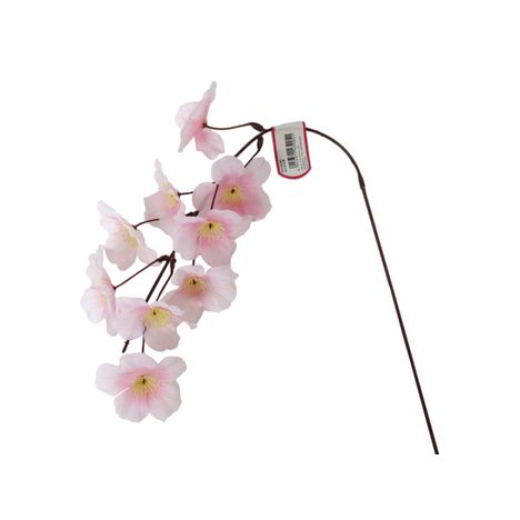 大しだれ桜　Ｌの2番目の写真