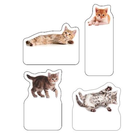 書けるフィルム猫付箋　４種×２０枚の4番目の写真