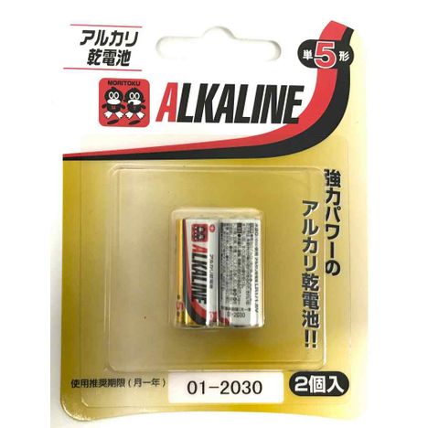 アルカリ乾電池　単５　２Ｐの商品画像