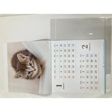 ２６　壁掛けカレンダー　ネコの3番目の写真