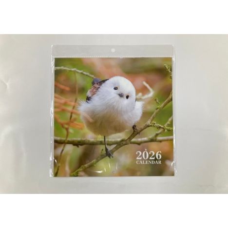 ２６　壁掛けカレンダー　鳥の画像