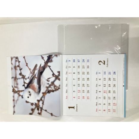 ２６　壁掛けカレンダー　鳥の3番目の写真