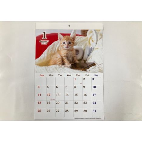 ２６　ジャンボカレンダー　ネコの画像
