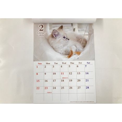 ２６　ジャンボカレンダー　ネコの3番目の写真