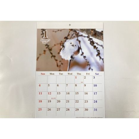２６　ジャンボカレンダー　鳥の画像
