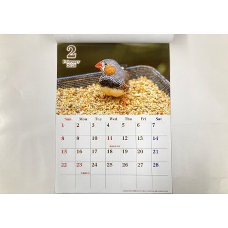 ２６　ジャンボカレンダー　鳥の3番目の写真