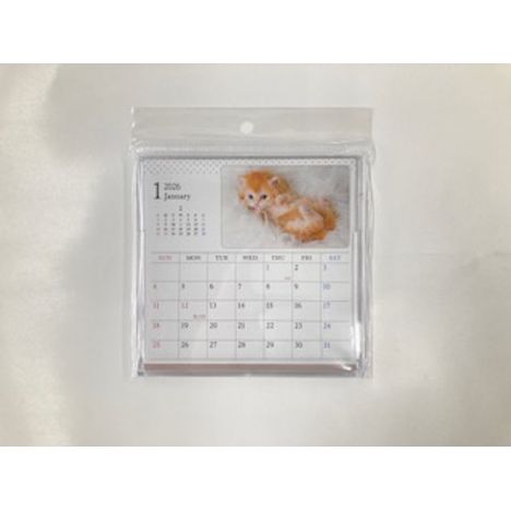 ２６　ＣＤカレンダー　ネコの画像