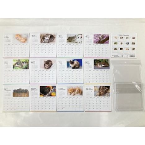 ２６　ＣＤカレンダー　ネコの3番目の写真