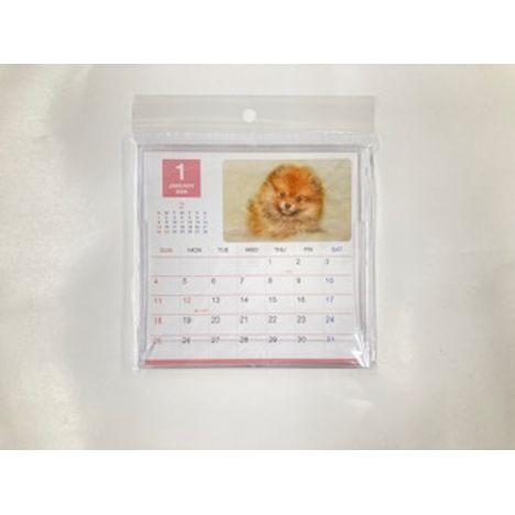 ２６　ＣＤカレンダー　イヌの画像
